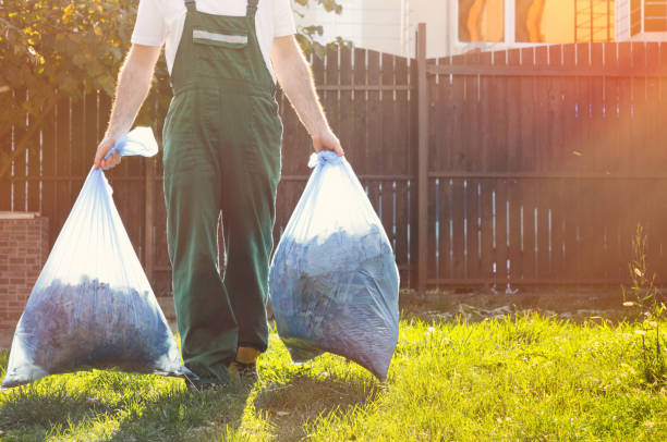 Best Dumpster Rental Services  in Cockeysville, MD
